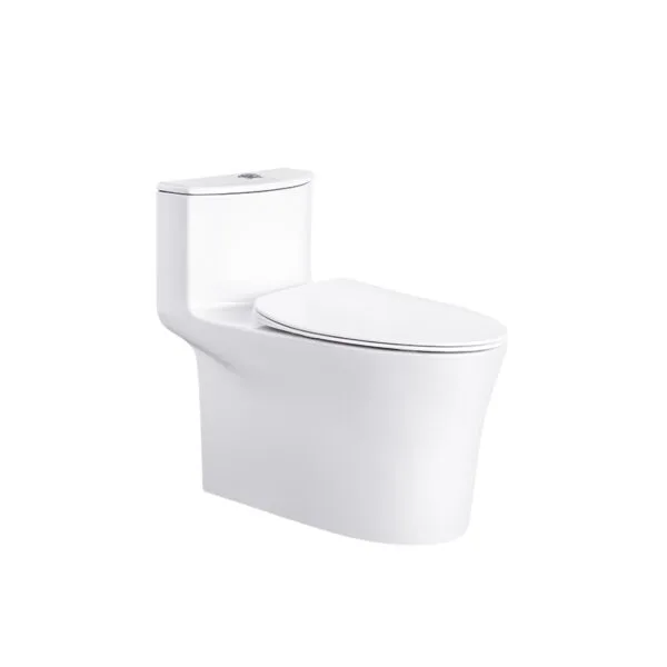 WC 0100141-00 SWISH Commode