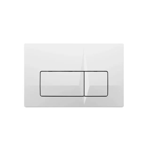 FS 0200221-00 SWISH Flushing Switch
